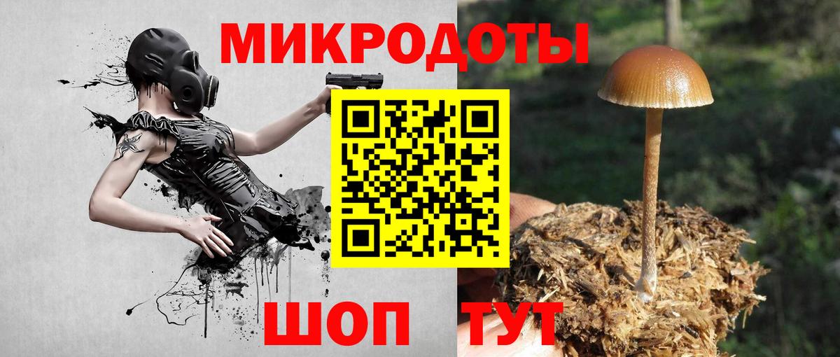 Псилоцибиновые грибы мицелий Ульяновск