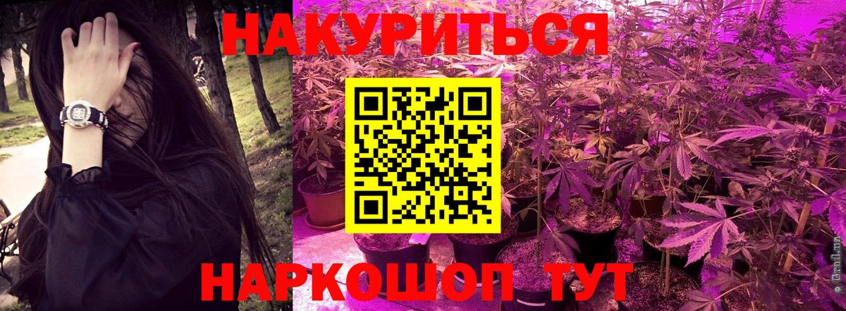Бошки марихуана VHQ  Конопля план  Вход с VPN  Ульяновск 